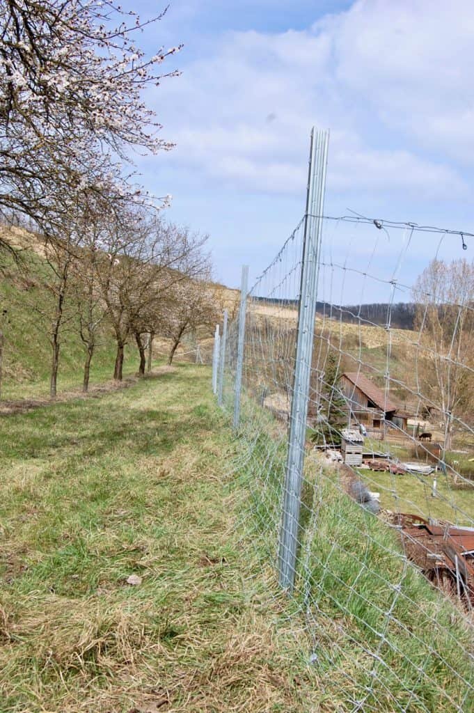 fertiger Wildzaun für Schafhaltung