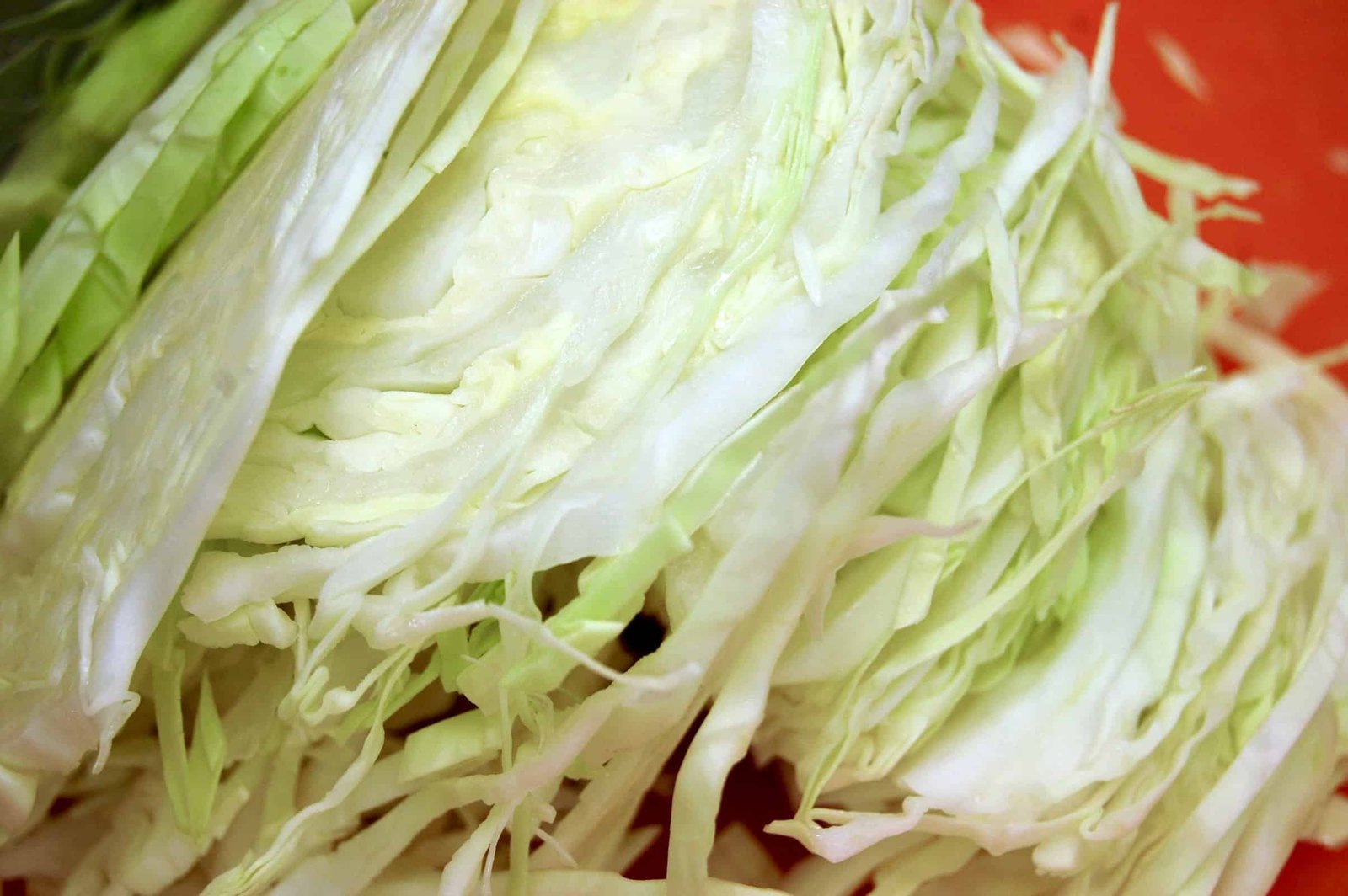 Selbstgemachtes Sauerkraut aus dem Gärtopf - Torftrottel