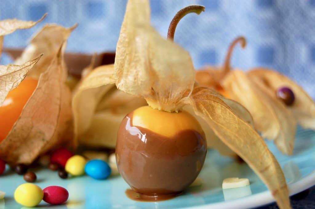 Andenbeere mit Schokolade