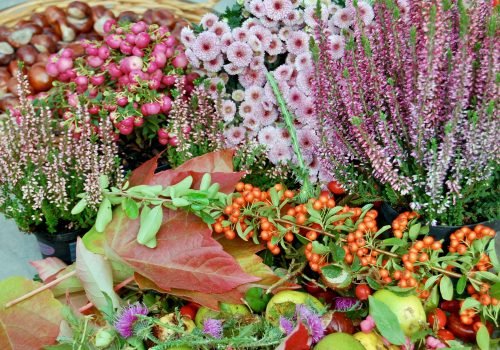 einfache Herbstdekoration