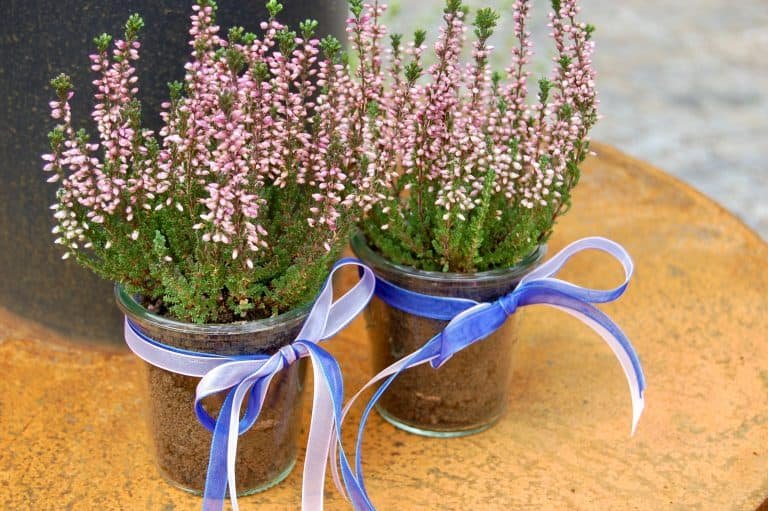 Einfache Herbstdekoration: Ideen für Deko-Muffel - Torftrottel