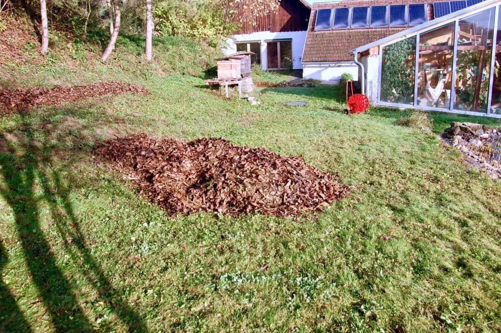 Garten winterfest: zusammengerechtes Laub