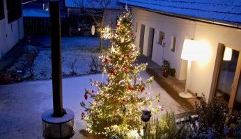 Weihnachtsbaum im Innenhof