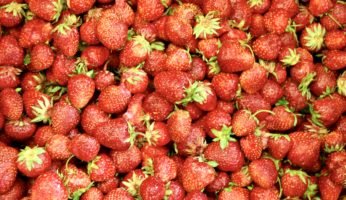 Einfache Erdbeerrezepte