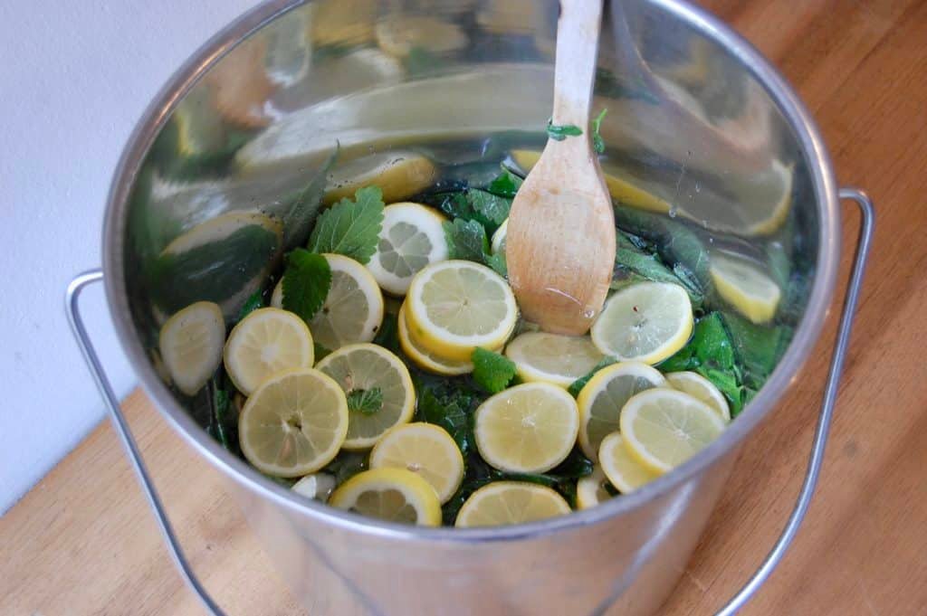 Rezept für Zitronenmelissen-Sirup: Sommerliche Erfrischung - Torftrottel