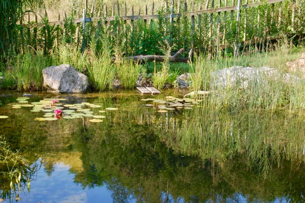 stiller Gartenteich im Spätsommer