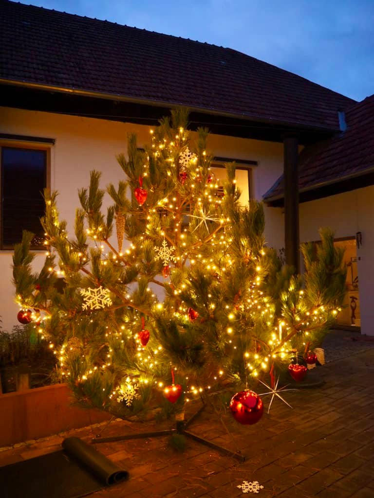 Weihnachtsbaum