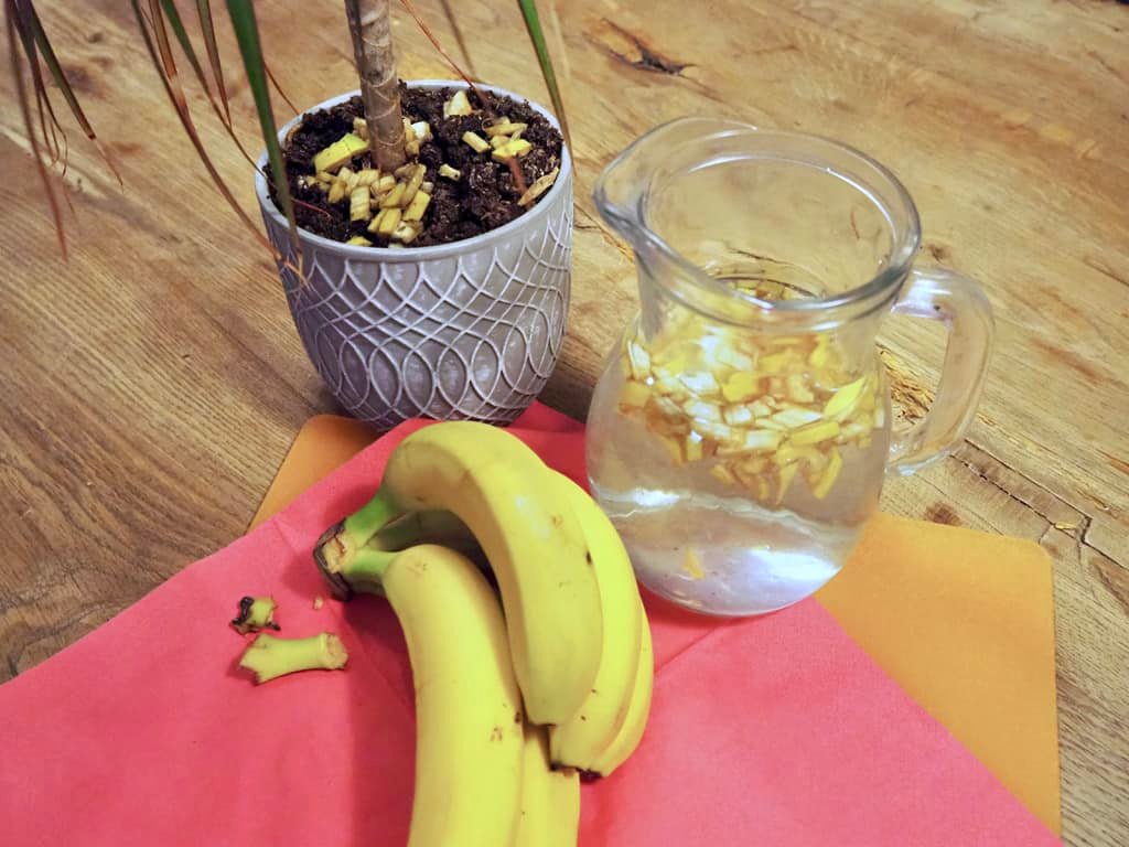 Bananenschalen als Dünger
