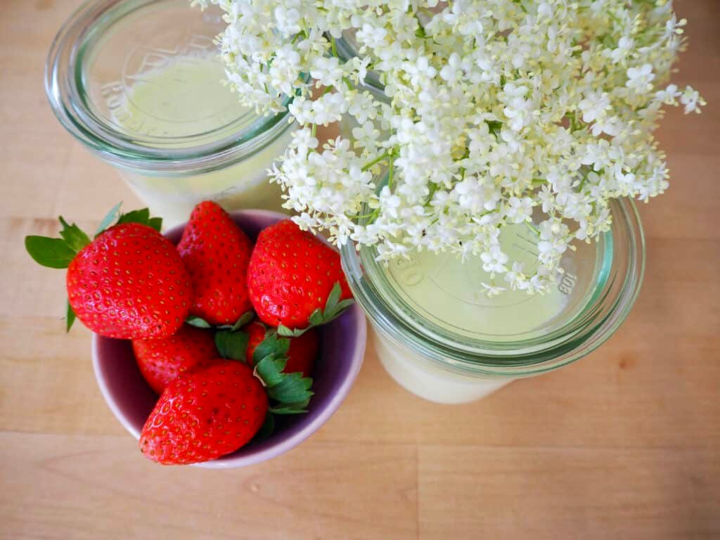 fertige Holunder-Panna-Cotta