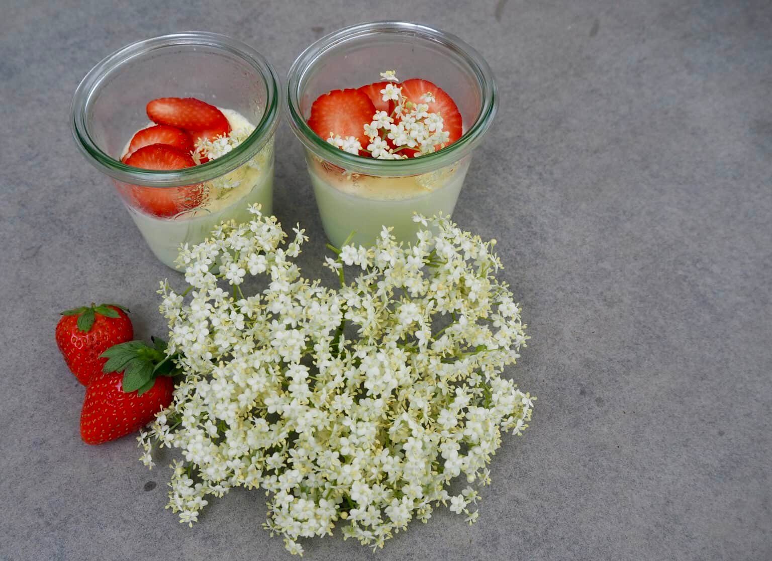 Holunderblüten-Panna-Cotta: Einfaches Frühsommer-Rezept - Torftrottel