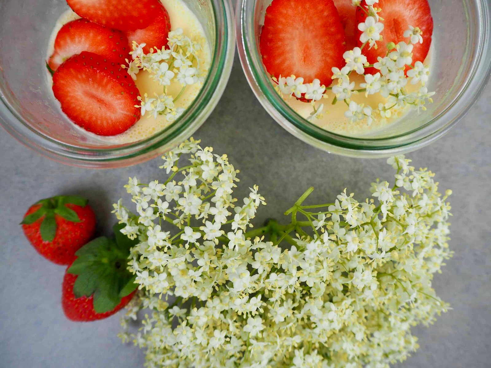 Holunderblüten-Panna-Cotta: Einfaches Frühsommer-Rezept - Torftrottel