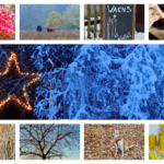 November-Fotos