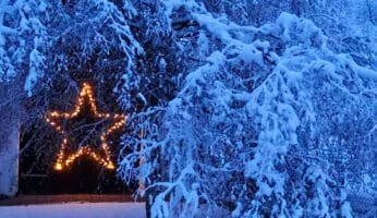 Weihnachtsbeleuchtung im Garten