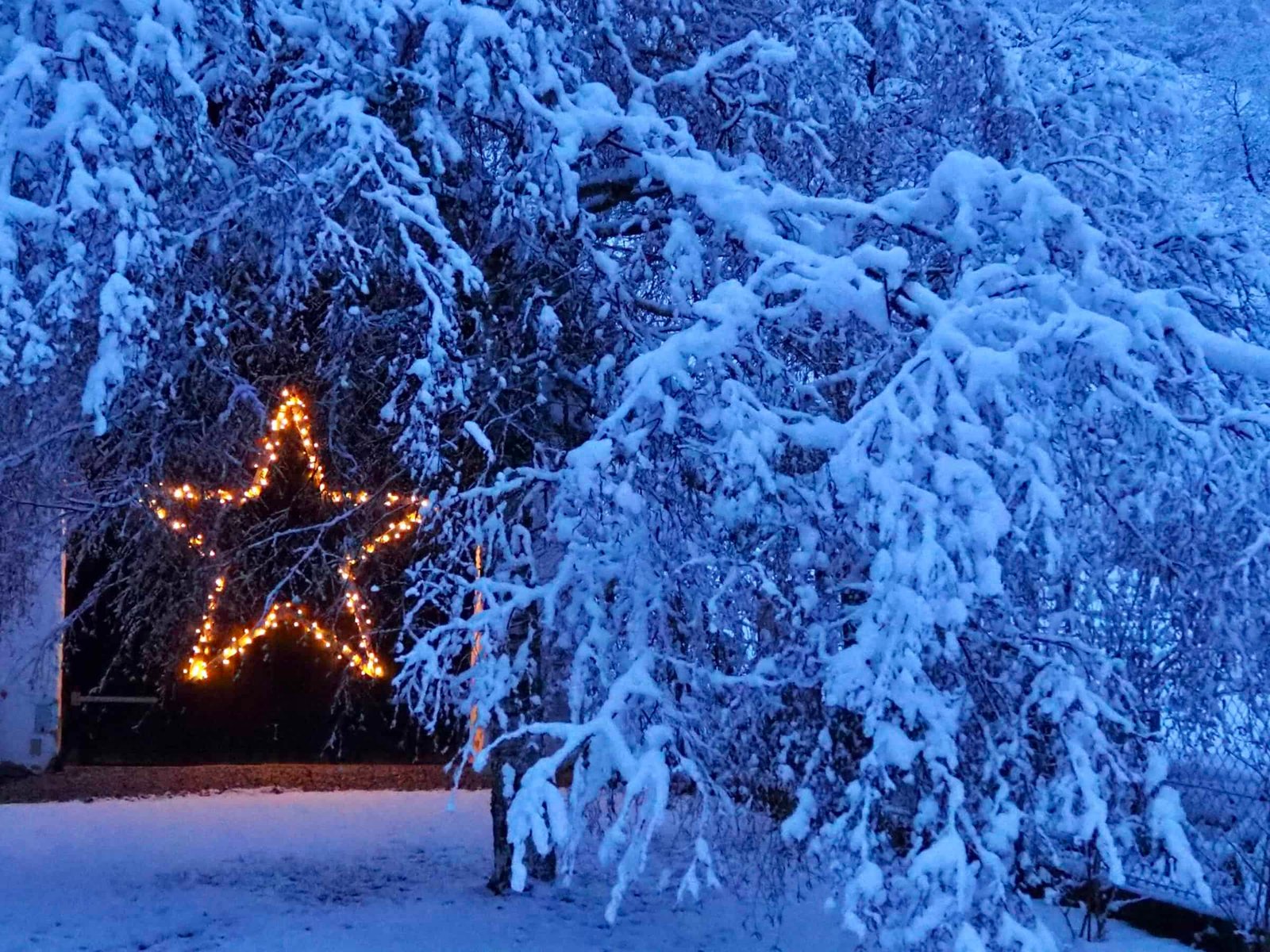 Weihnachtsbeleuchtung im Garten: Strahlender Holzstern