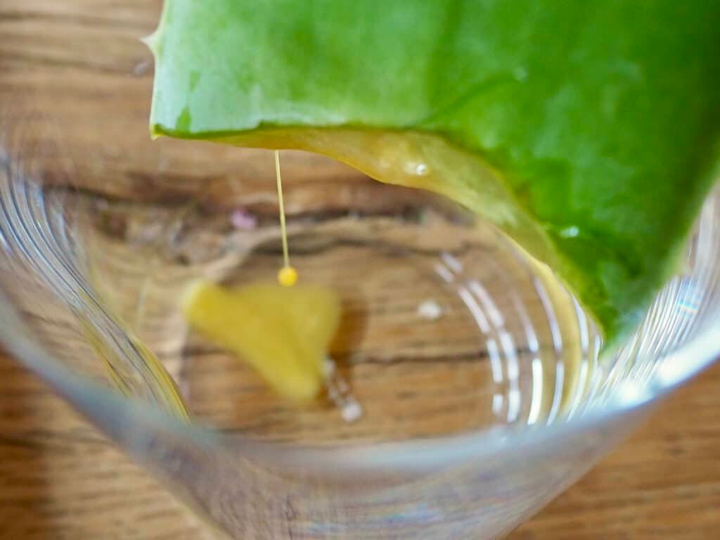 Aloin rinnt aus Aloe-Vera-Blatt