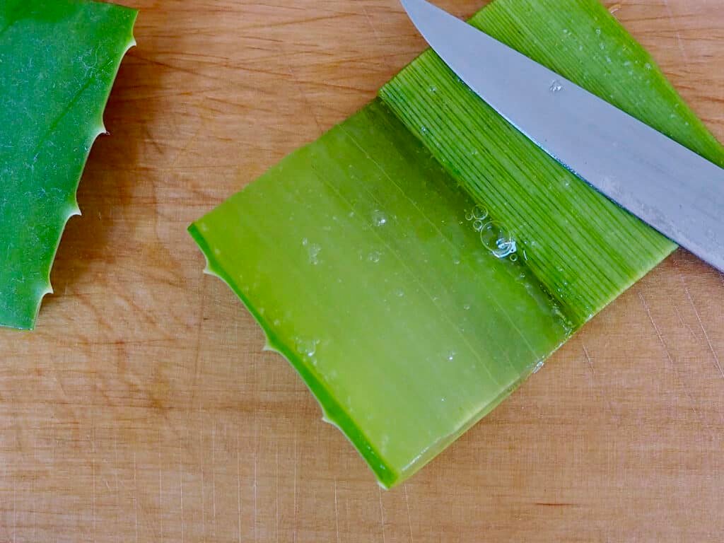 Aloe-Vera-Blatt aufschneiden