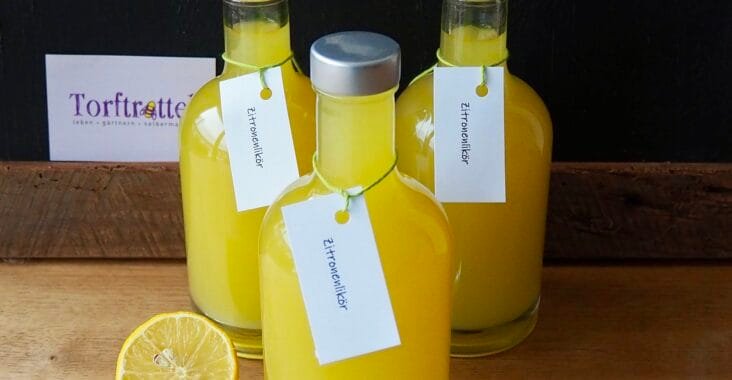 Rezept für Zitronenlikör - Limoncello