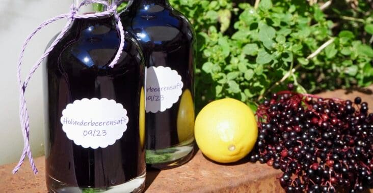 Holunderbeerensaft selbst machen