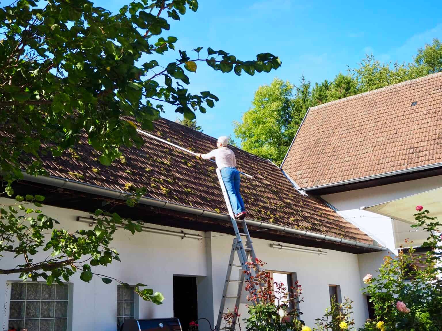 Wie Bekämpfe Ich Moos Auf Dem Dach Moos auf dem Dach: Besser entfernen! - Torftrottel