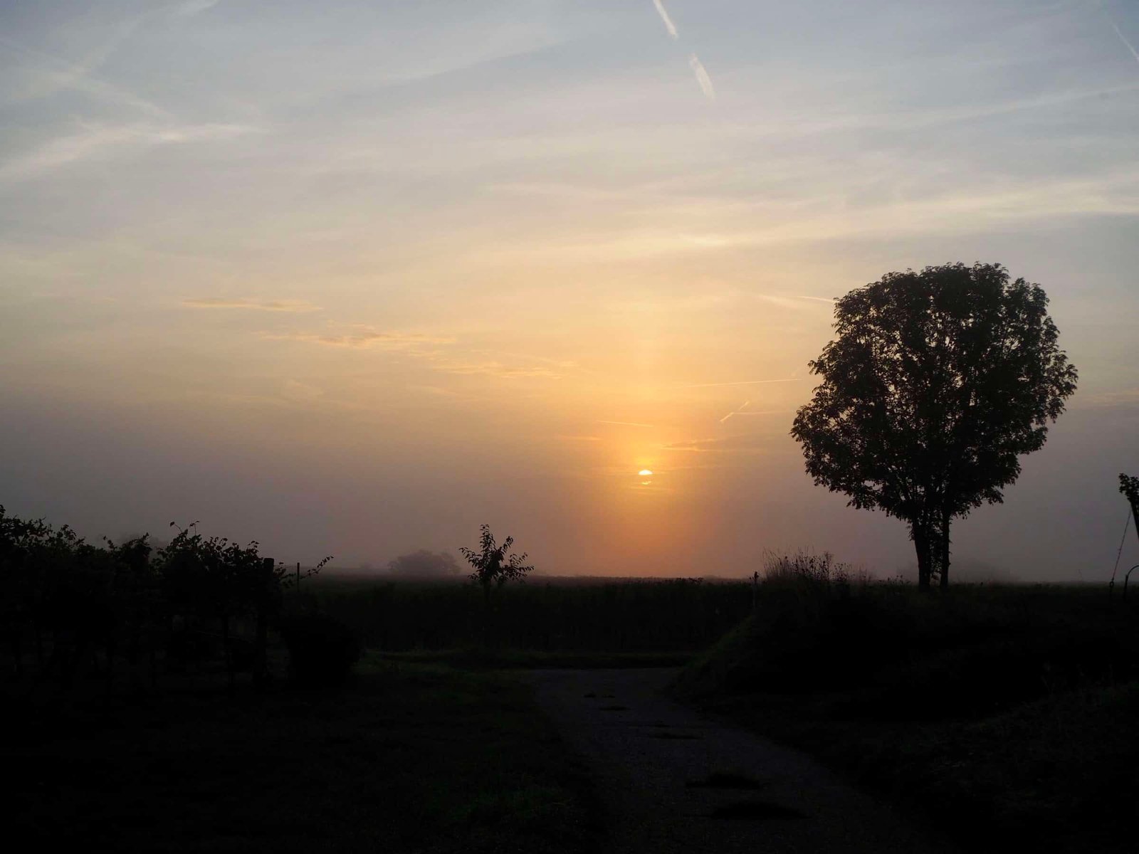 Licht im Herbst