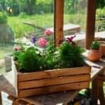 Mini-Blumenbeet in der Holzkiste