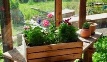 Mini-Blumenbeet in der Holzkiste