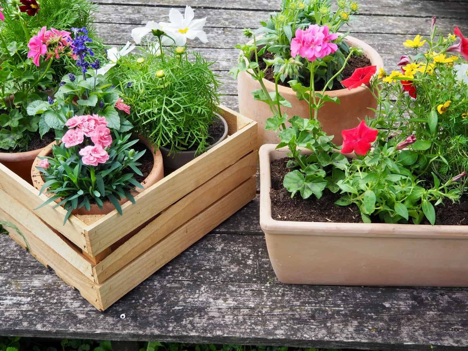 Blumendeko für Garten und Balkon