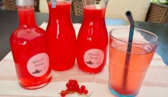Ribiselsirup selber machen
