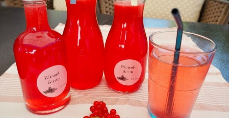 Ribiselsirup selber machen
