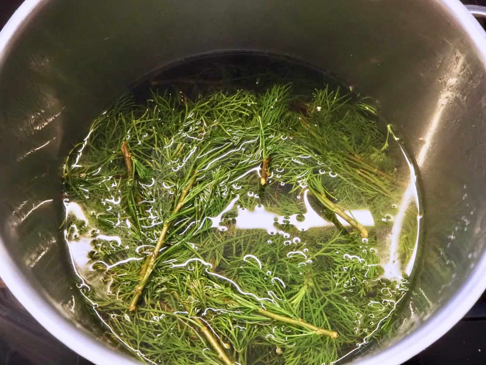 Cola-Kraut-Sirup Zubereitung