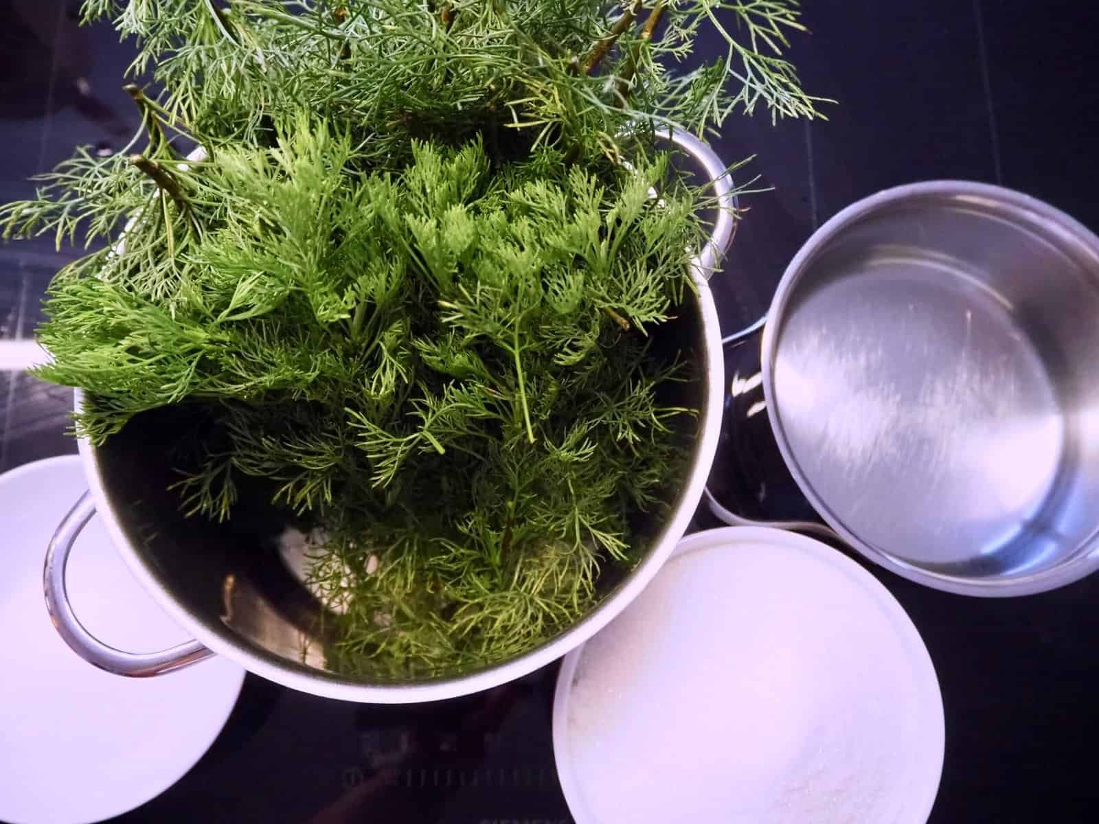 Zutaten für Cola-Kraut-Sirup