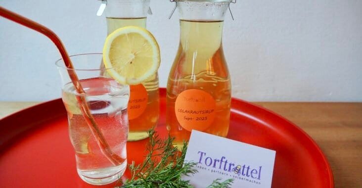 Cola-Kraut-Sirup selber machen