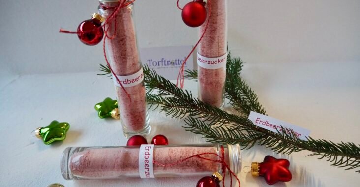 Erdbeerzucker selber machen