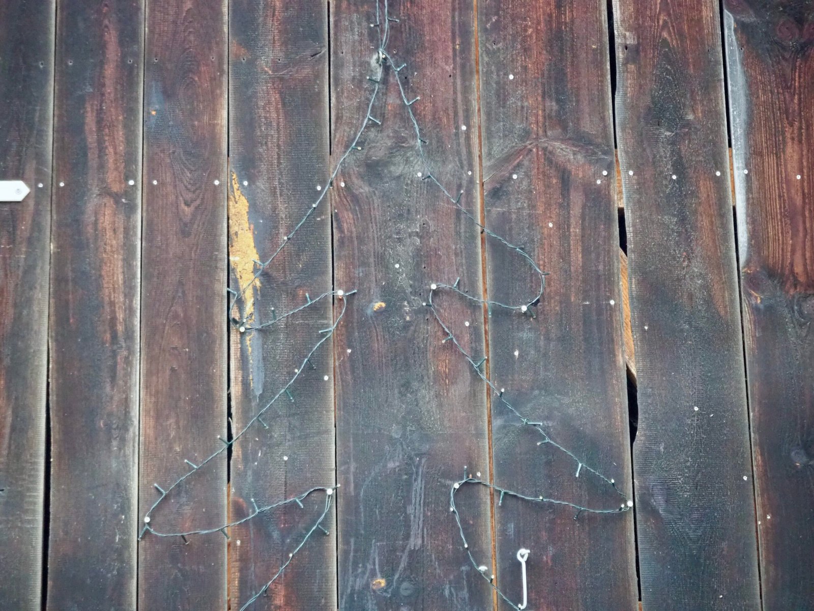 Tannenbaum aus Lichterkette