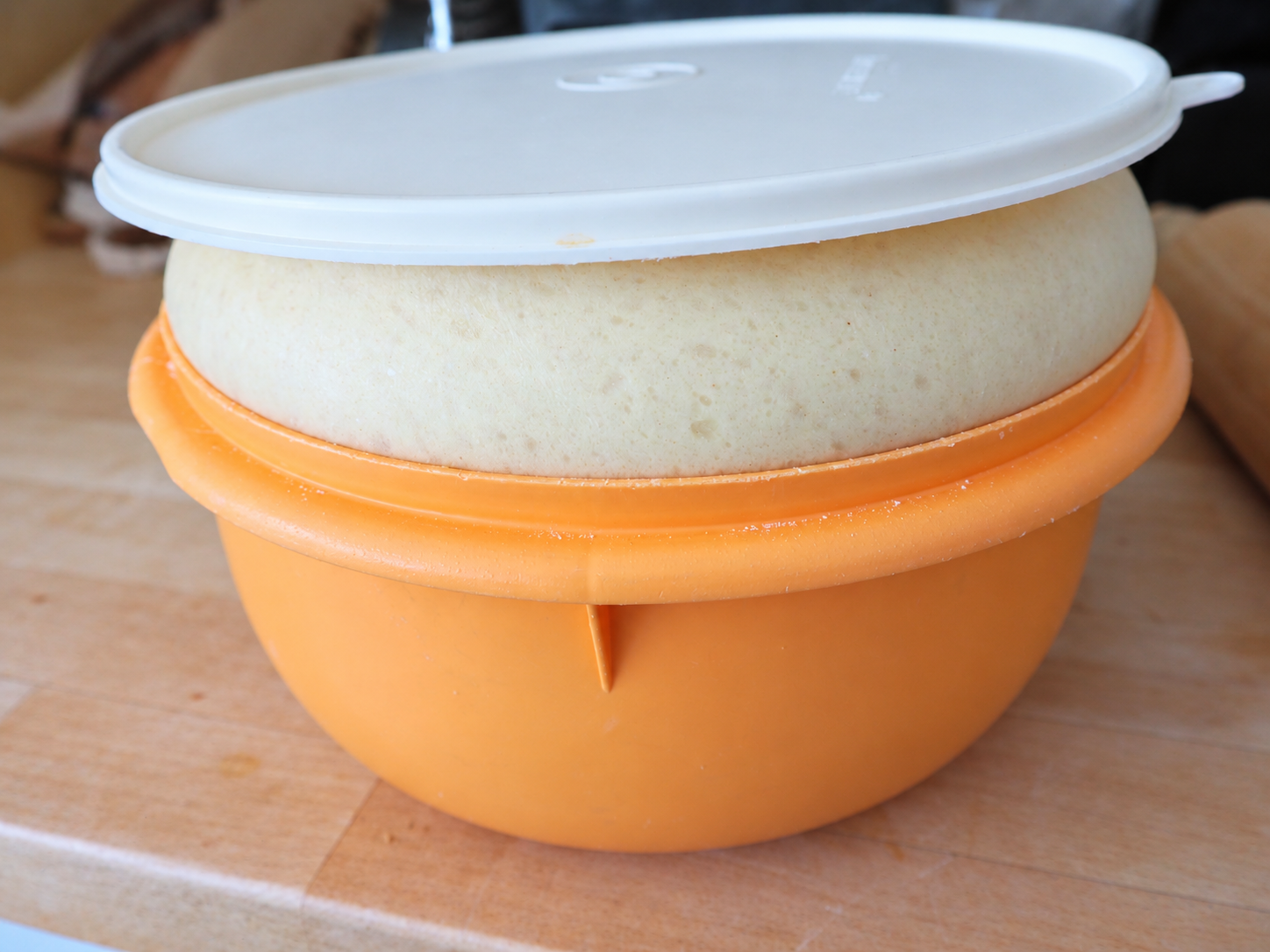 Aufgegangener Germteig